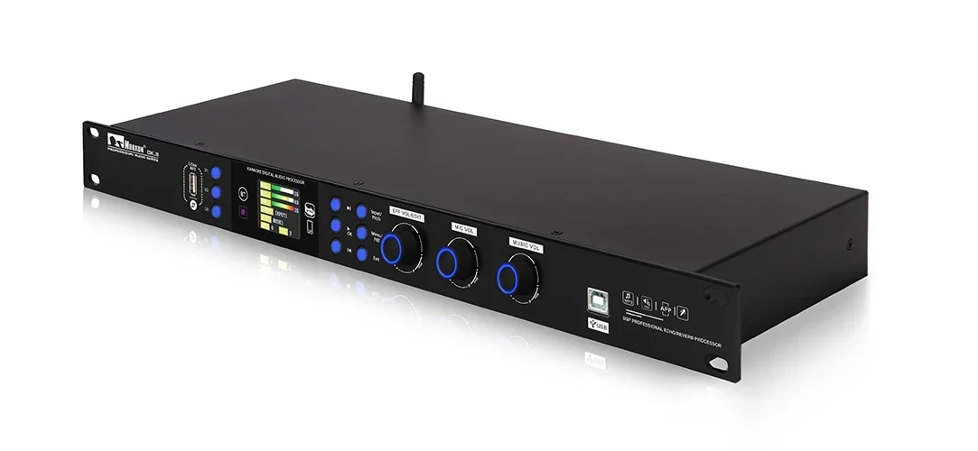 Best DSP Audio Processor Studi - огляд і ціна Audio Music Best