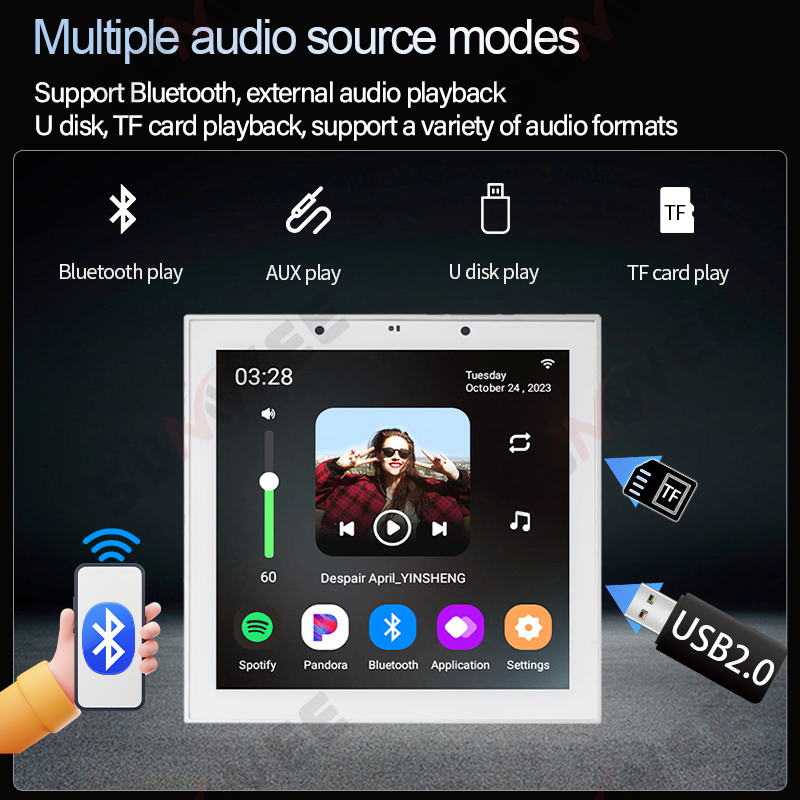 Home WIFI Smart Audio Wall Amp - огляд і ціна Audio Music System For Home