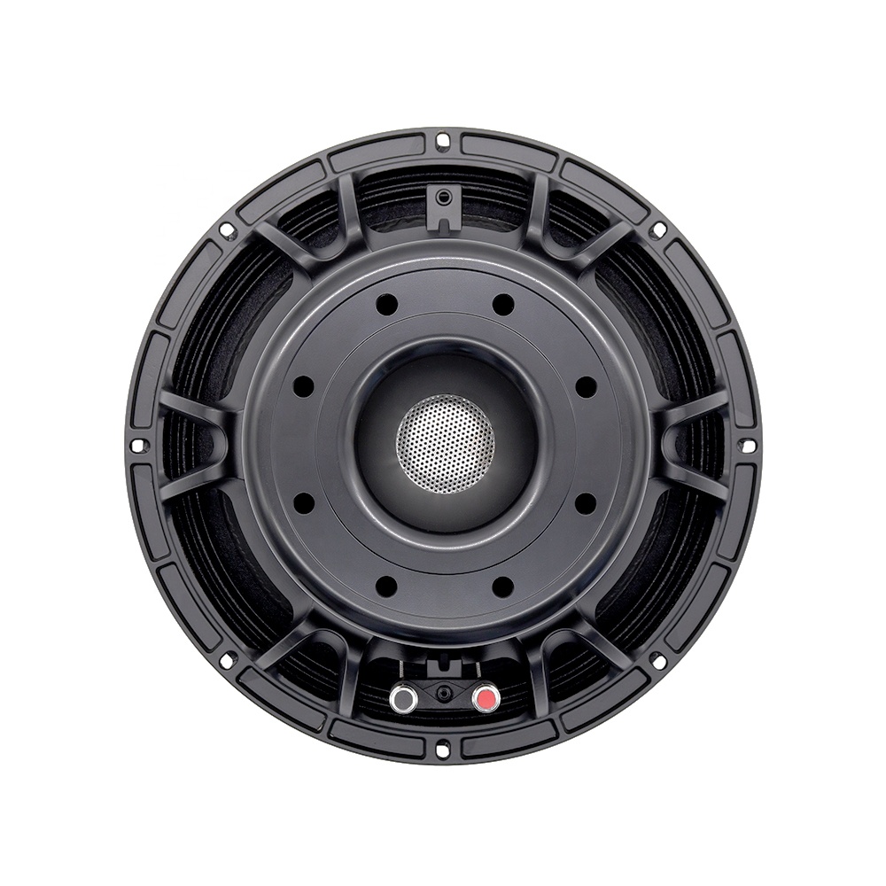 12DS Pro Audio Equipment 12''  - огляд і ціна Audio & Music Xbox