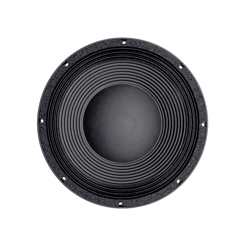 12DS Pro Audio Equipment 12''  - огляд і ціна Audio & Music Xbox