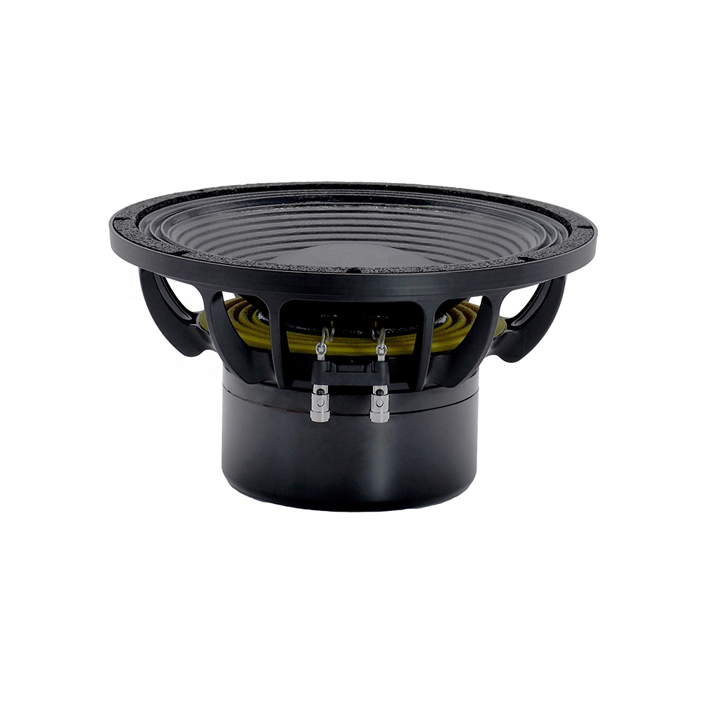 12DS Pro Audio Equipment 12''  - огляд і ціна Audio & Music Xbox