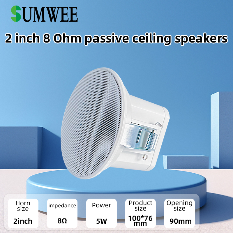 2Inch Mini 8 Ohm Ceiling Speak - огляд і ціна Audio Music System For Home